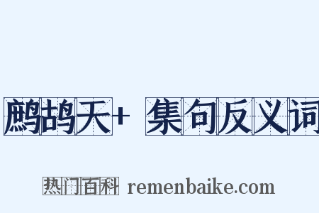 鹧鸪天+集句反义词是什么意思的图片